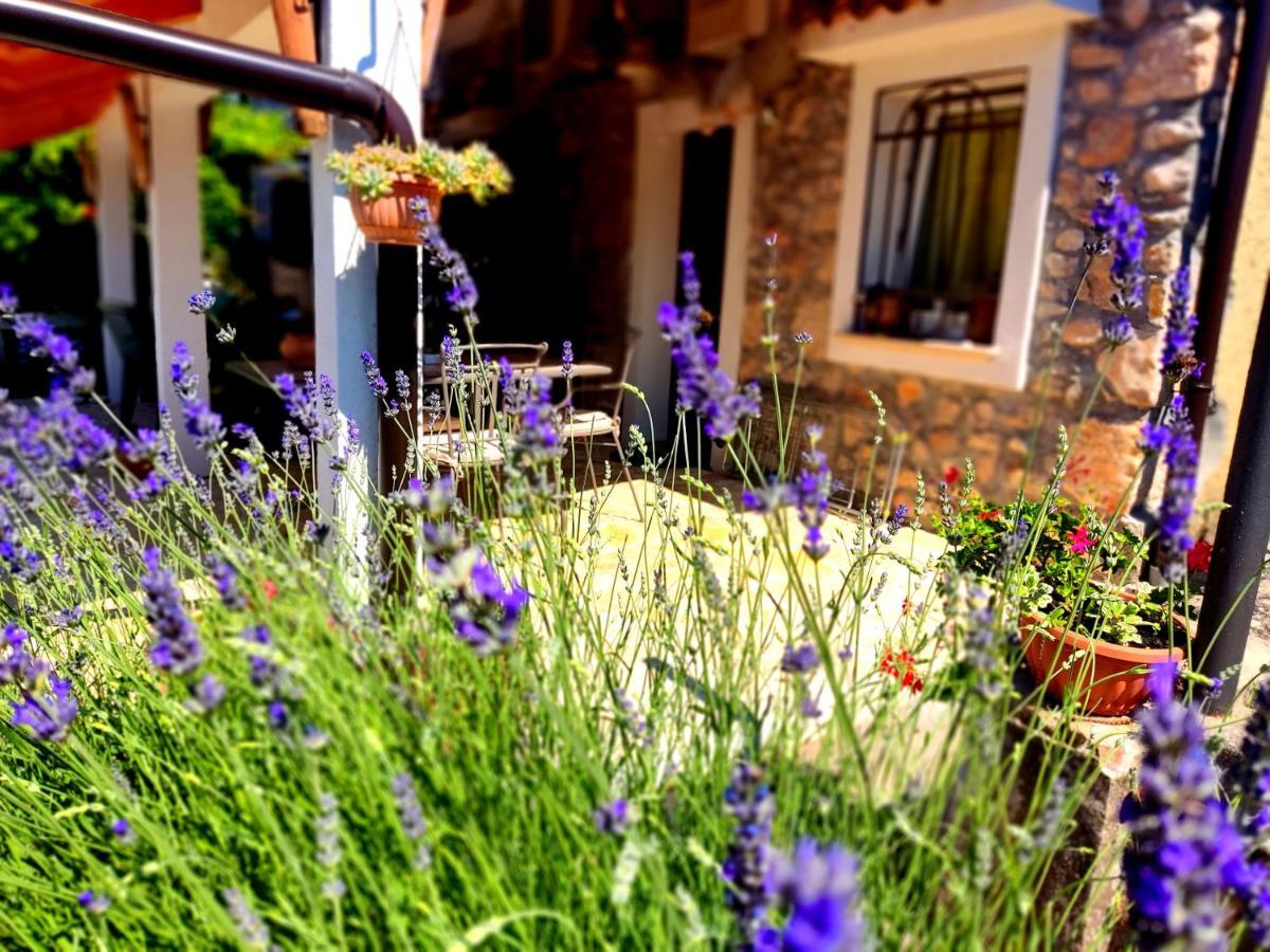 Apartman Pelcic,With Wifi And Free Parking Кострена Экстерьер фото